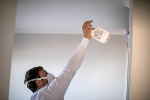 Best Same-Day Mold Removal  in Ladera Ranch, CA