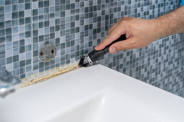 Best Commercial Mold Removal  in Ladera Ranch, CA