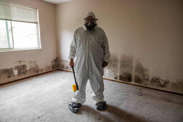 Best Mold Damage Repair  in Ladera Ranch, CA